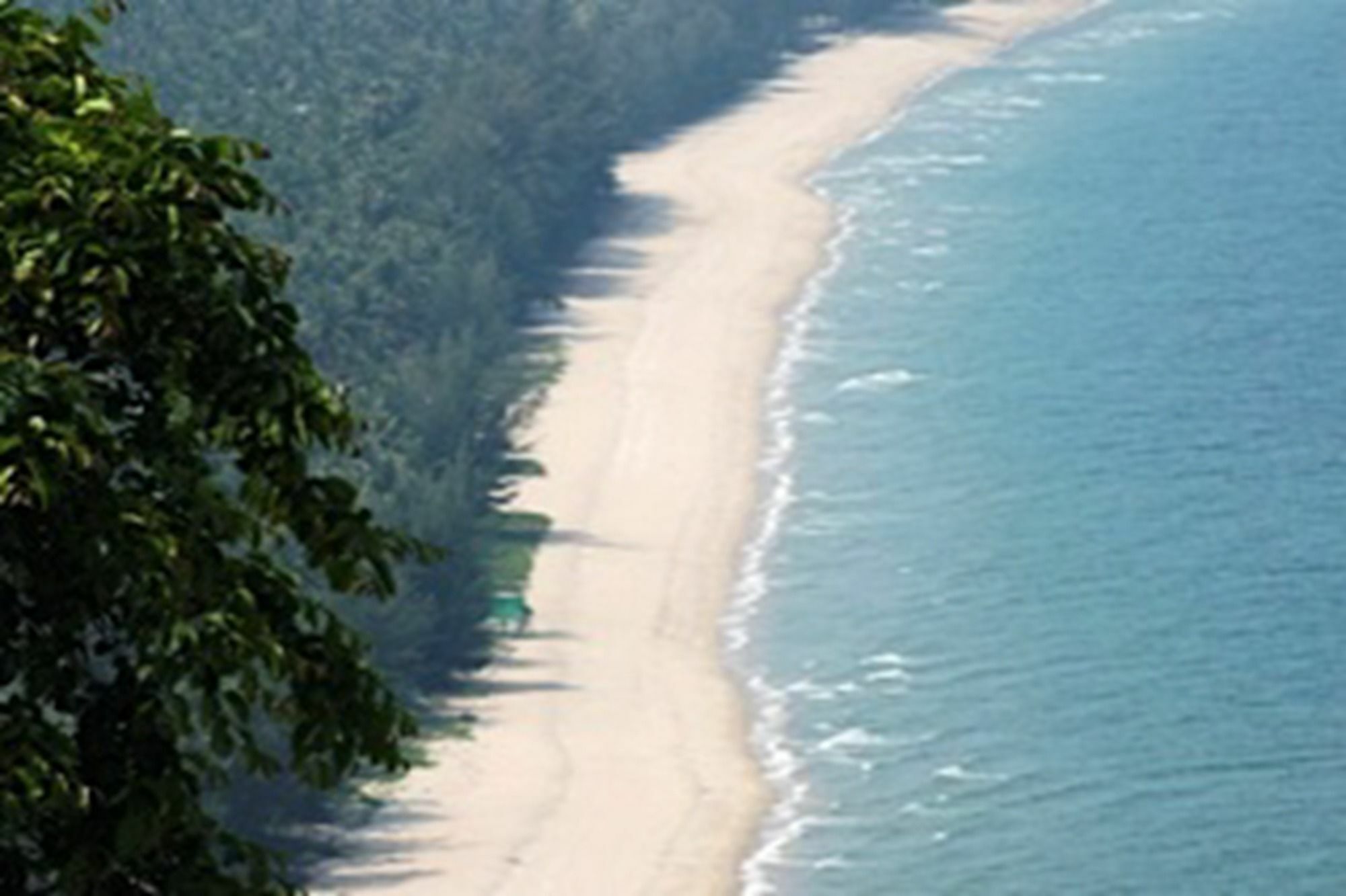 بان كروت 155 Salacoco المظهر الخارجي الصورة