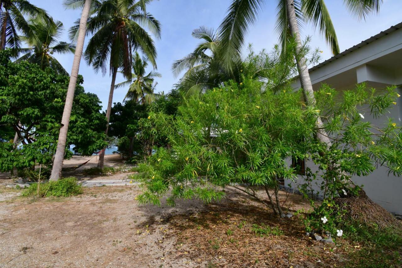 بان كروت 155 Salacoco المظهر الخارجي الصورة