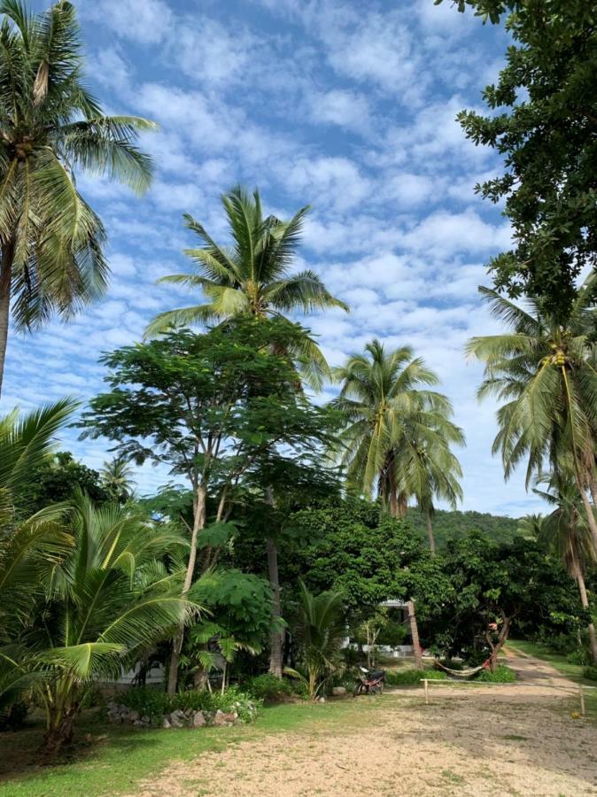 بان كروت 155 Salacoco المظهر الخارجي الصورة